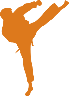 budo icon page orange